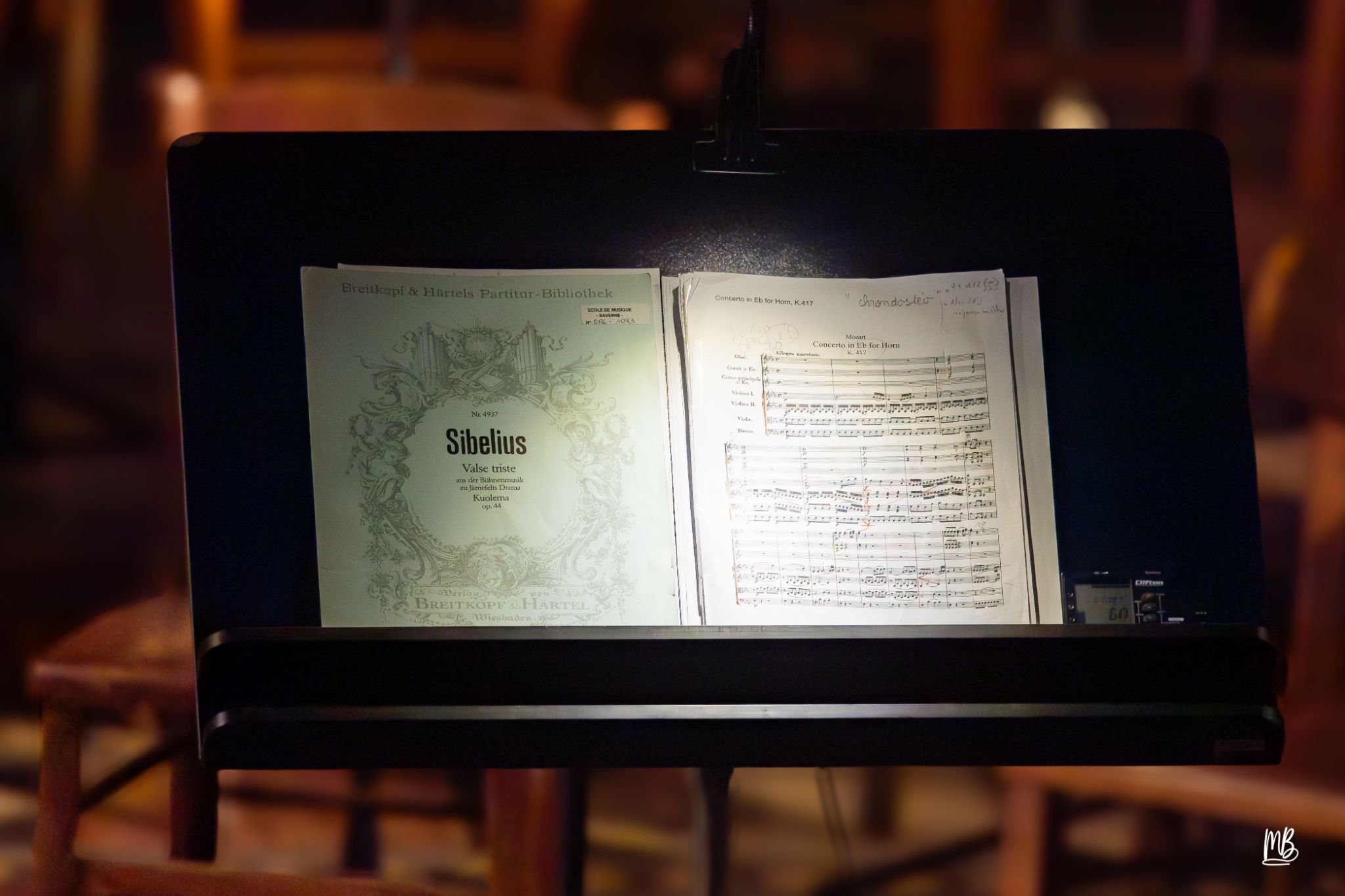 Notes d'Automne - Orchestre Symphonique de Haguena